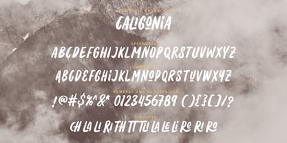 Caligonia Font Poster 9