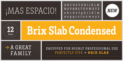 Brix Slab Condensed Font Poster 2