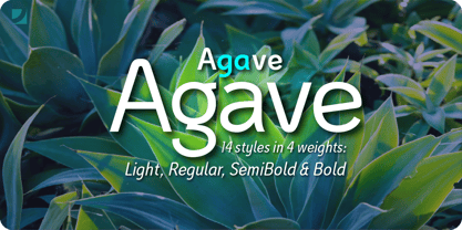 Agave Font Poster 1