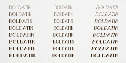 Boldatin Font Poster 3