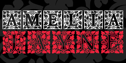 P22 Amelia Jayne Font Poster 1