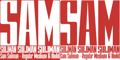 Sam Suliman Font Poster 8