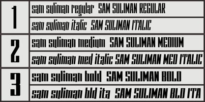 Sam Suliman Font Poster 4