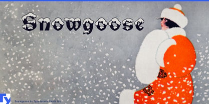 Snowgoose Fuente Póster 1