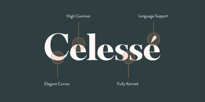 Celesse Font Poster 7
