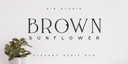 Brown Sunflower Fuente Póster 1