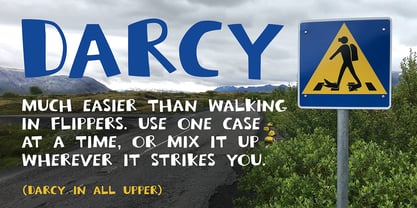 Darcy Font Poster 8
