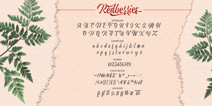 Redberries Font Poster 11