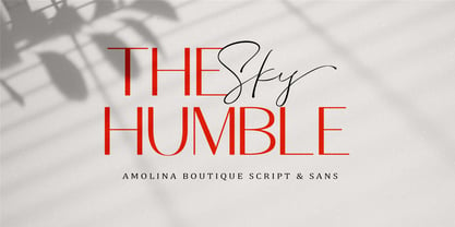 Amolina Boutique Script Fuente Póster 2