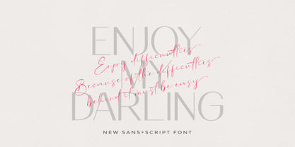 Amolina Boutique Script Font Poster 6