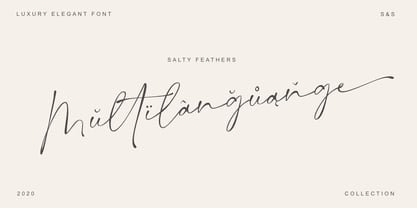 Salty Feathers Font Poster 8