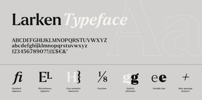 Larken Font Poster 15