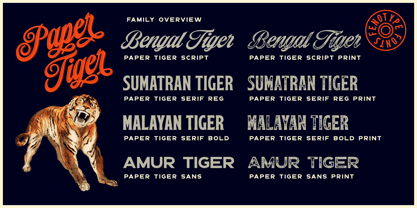 Paper Tiger Font Poster 14