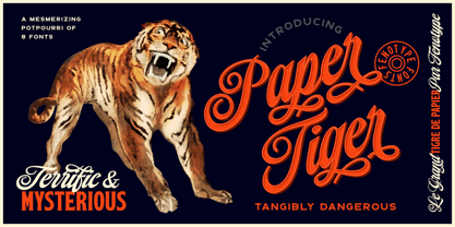 Paper Tiger Font Poster 1