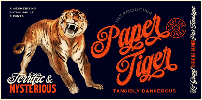 Paper Tiger Fuente Póster 1