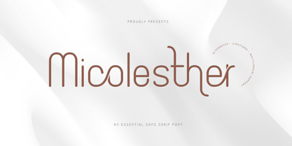 Micolesther Police Poster 1