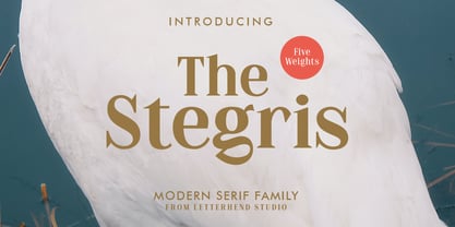 The Stegris Fuente Póster 1