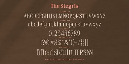 The Stegris Font Poster 9