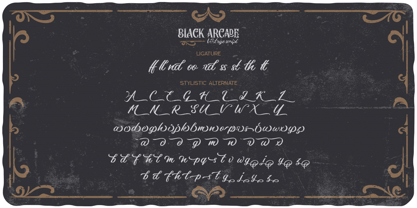 Black Arcade Fuente Póster 9