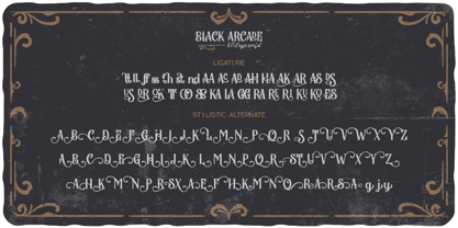 Black Arcade Fuente Póster 7