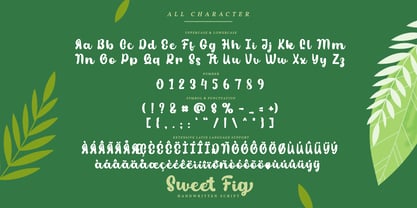 Sweet Fig Font Poster 10