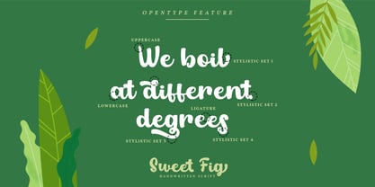 Sweet Fig Font Poster 8