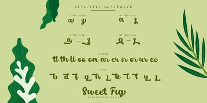 Sweet Fig Fuente Póster 9