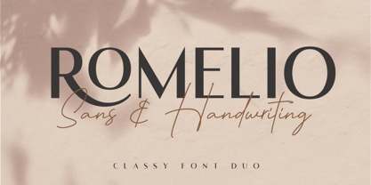 Romelio Font Poster 1