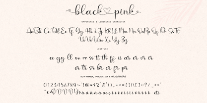 Black Love Pink Font Poster 10