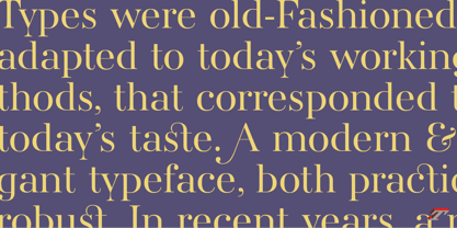 AW Conqueror Std Didot Font Poster 5