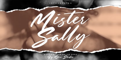 Mister Sally Font Poster 1