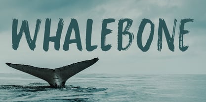 Whalebone Font Poster 1