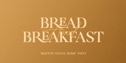 Boston Angel Font Poster 4