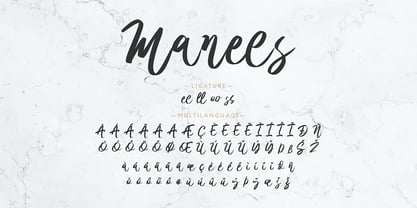 Manees Font Poster 10