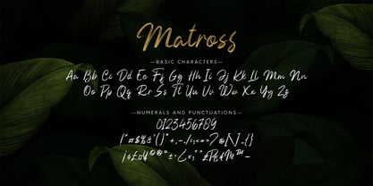 Matross Fuente Póster 10