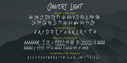 Convert Light Font Poster 12