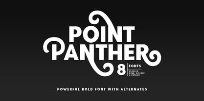 Point Panther Fuente Póster 1