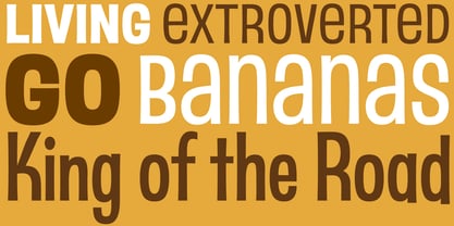 Bananas Font Poster 5
