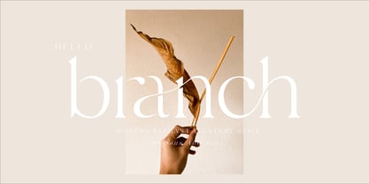 Hello Branch Font Poster 1