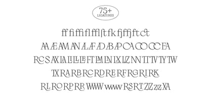 Palmire Font Poster 12