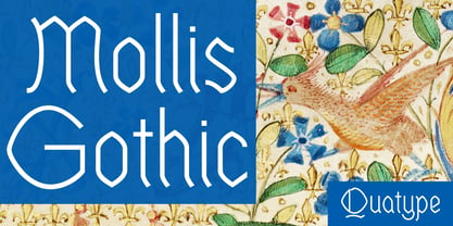 Mollis Gothic Font Poster 5
