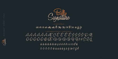 Billy Signature Font Poster 11