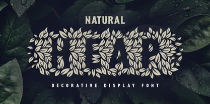 Natural Heap Font Poster 1