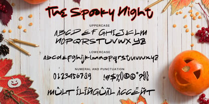 The Spooky Night Font Poster 7