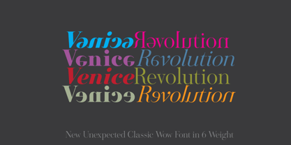 Venice Revolution Font Poster 1