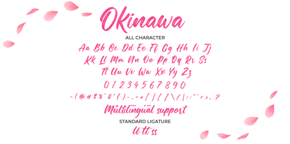 Okinawa Font Poster 3