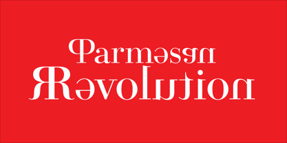 La révolution du parmesan Police Affiche 1
