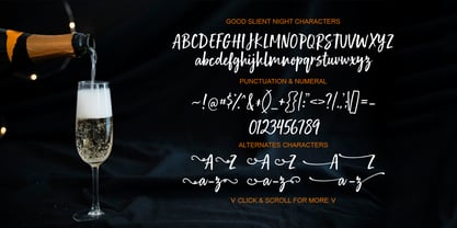 Good Slient Night Font Poster 6