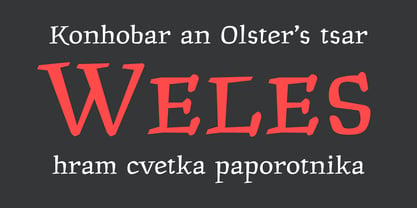 Dubrove Font Poster 3