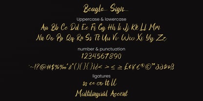 Beagle Sign Font Poster 6